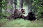 ours