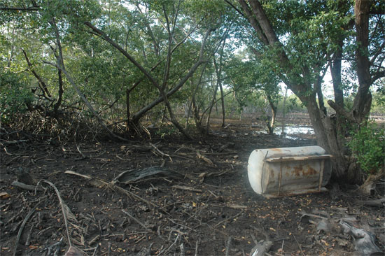 Exemple de destruction de la mangrove pour la construction d'une marina sur l'île d'Utila. Photo L.D.