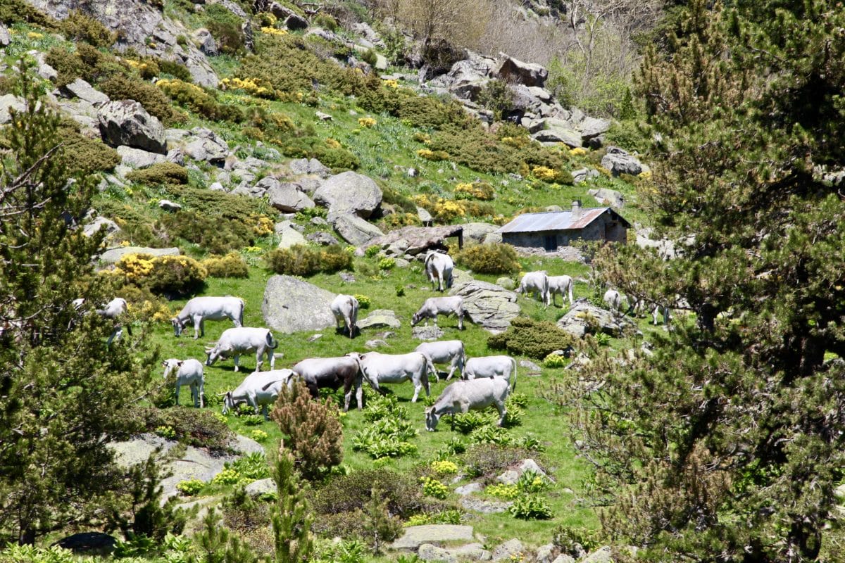 bénévole avec volontaire pour la nature