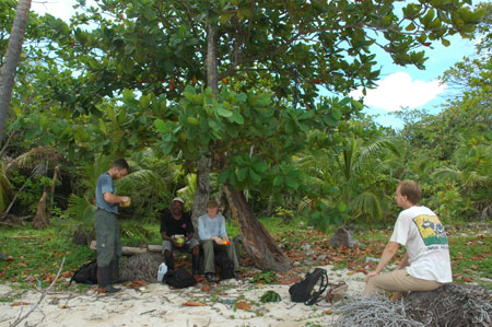Expédition dans la mangrove. Station des iguanes au Honduras