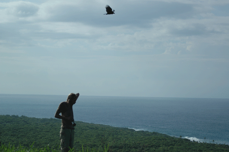 Utila ignana station Honduras