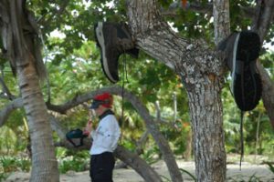 ecovolontariat honduras