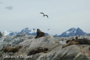 Canal de Beagle