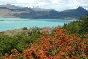 torres-del-paine chili