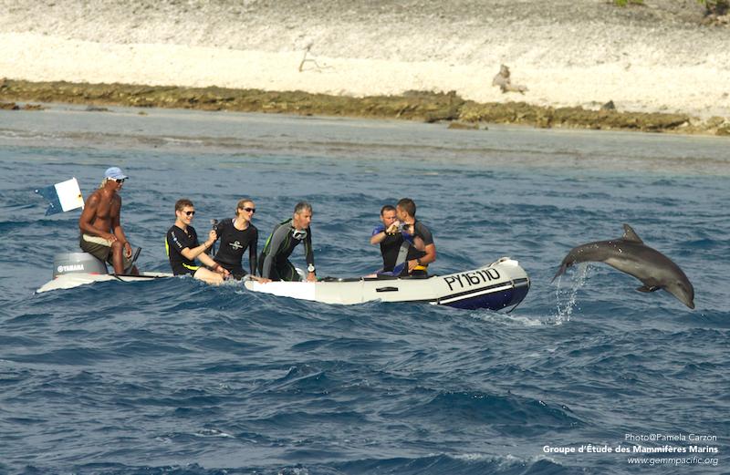 volunteering in polynesia