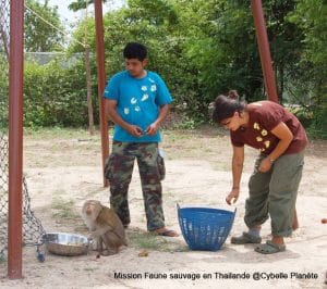 Sanctuaire d'animaux sauvages en Thaïlande.