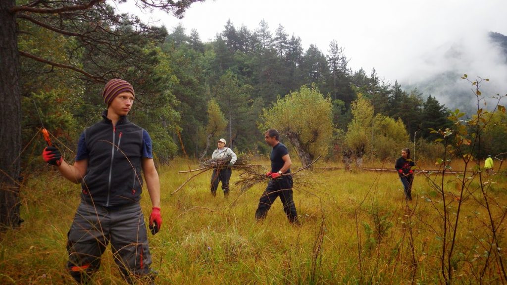 chantier nature | Eco-volontaire Volontaire pour la Nature
