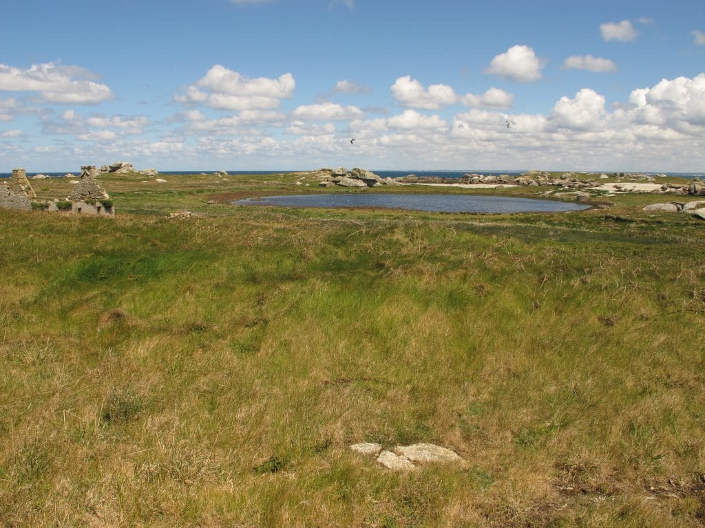 ile-bretagne | Eco-volontaire
