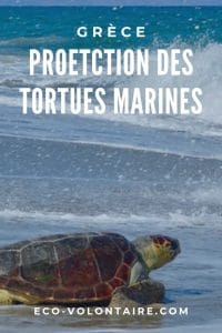 tortue marine grèce