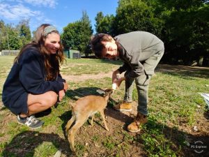 Ecovolontariat famille