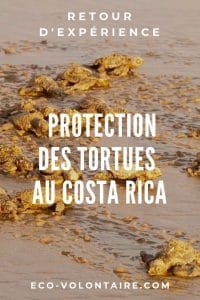 tortues-costa-rica