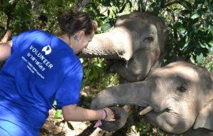 Marine est partie 4 semaines sur la mission des éléphants en Thaïlande avec Freepackers, dans le cadre de son stage conventionné. En immersion auprès des communautés locales, elle raconte l'expérience d’une vie. 