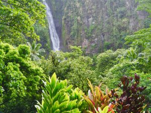 Tahiti cascade