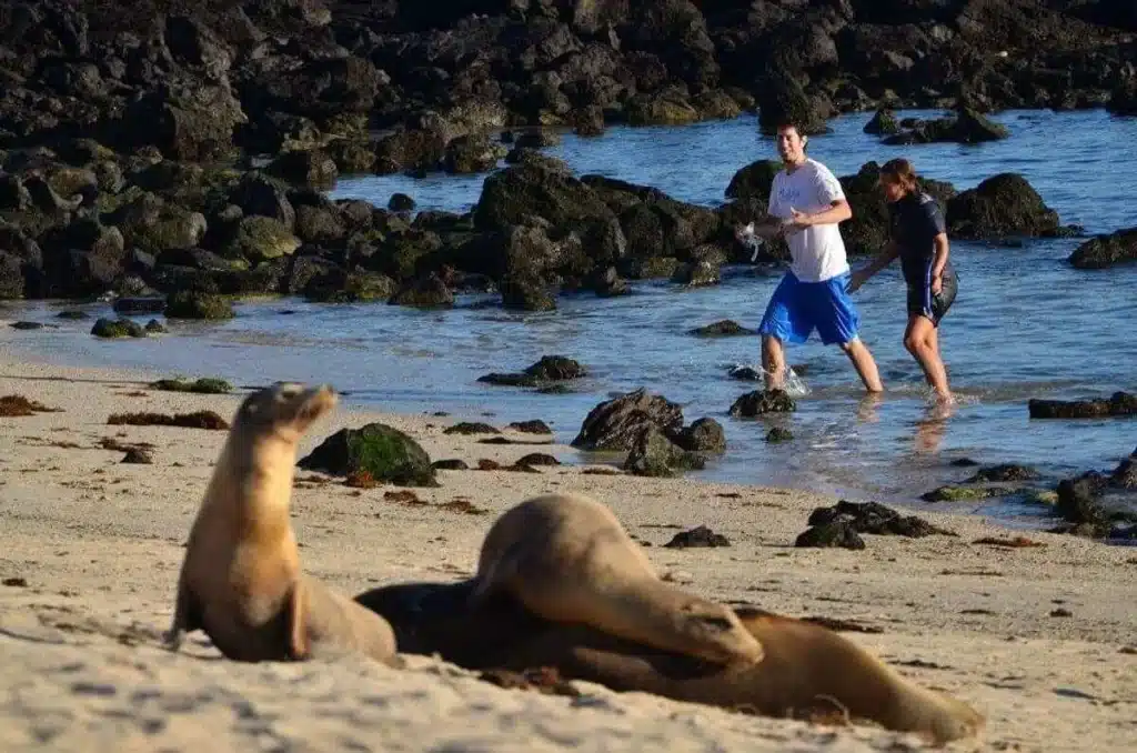 Discover the Galapagos as a volunteer