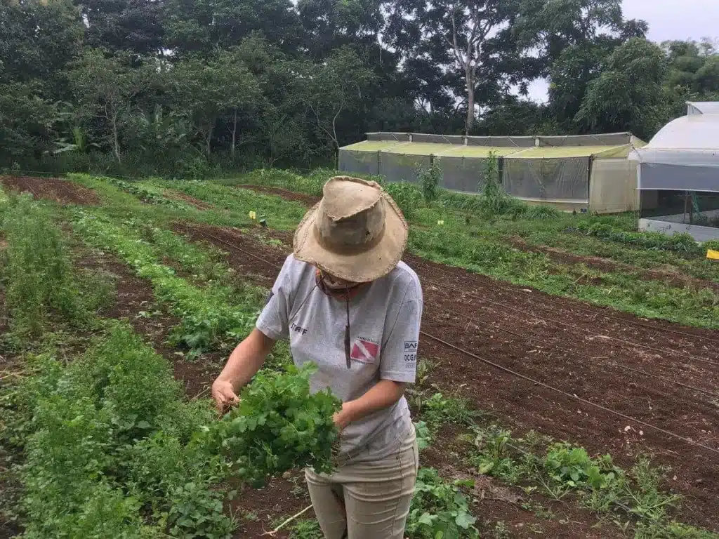 Volunteer on a farm in the Galapagos