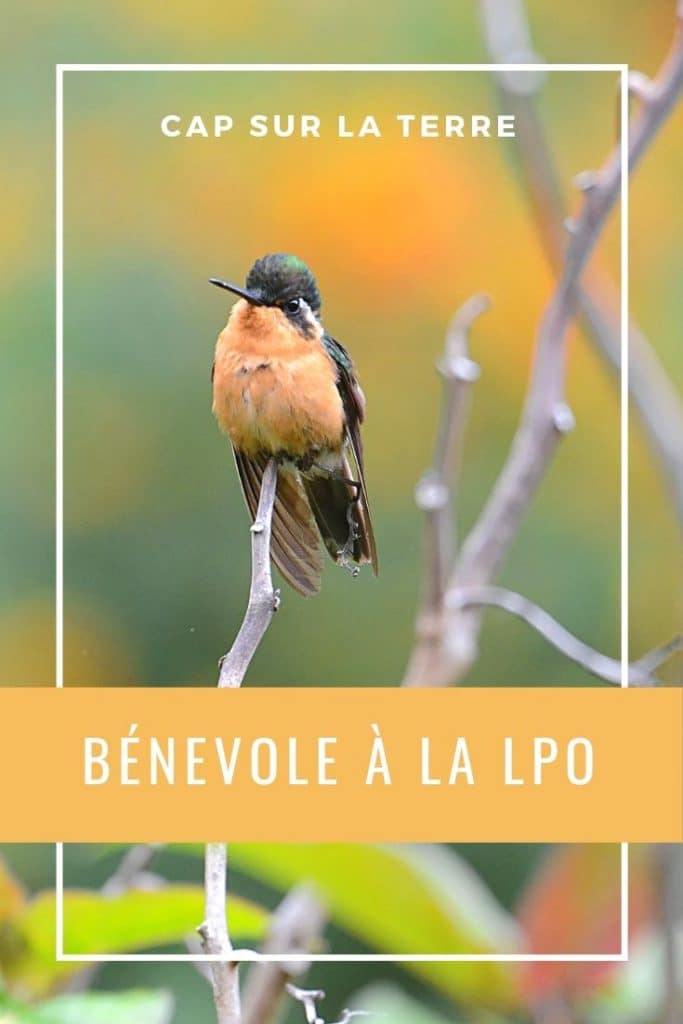 bénévolat LPO