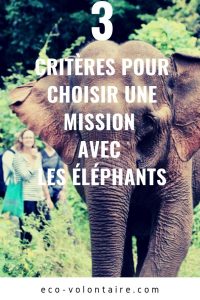 mission éléphants