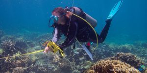 people and the sea transect