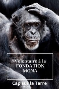 fondation mona