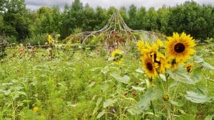 Jardin extraordinaire de Lieurac