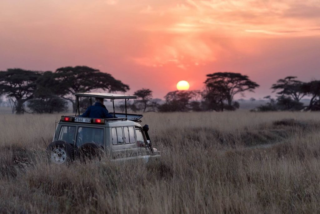 Wildlife training in South Africa