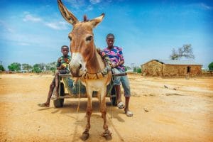 Formation ferme kenya