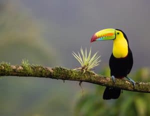Mission environnement au Costa Rica
