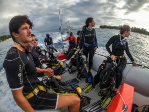 Dix sortie en mer sont prévues