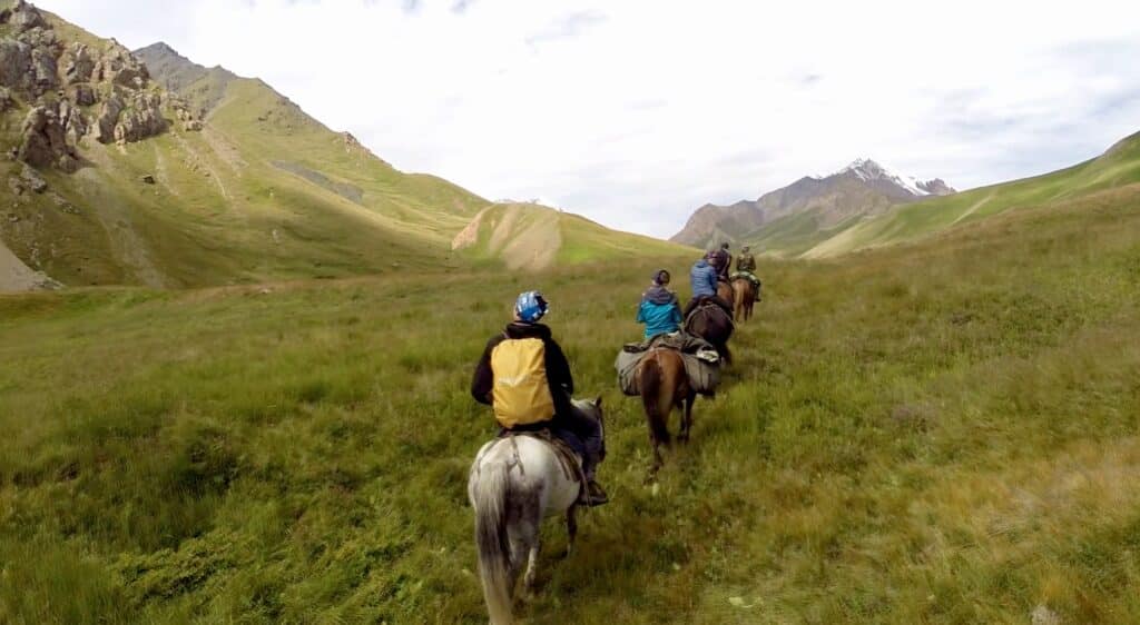 Sur les traces de la panthère des neiges