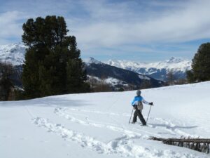 Sur les traces du loup en raquettes