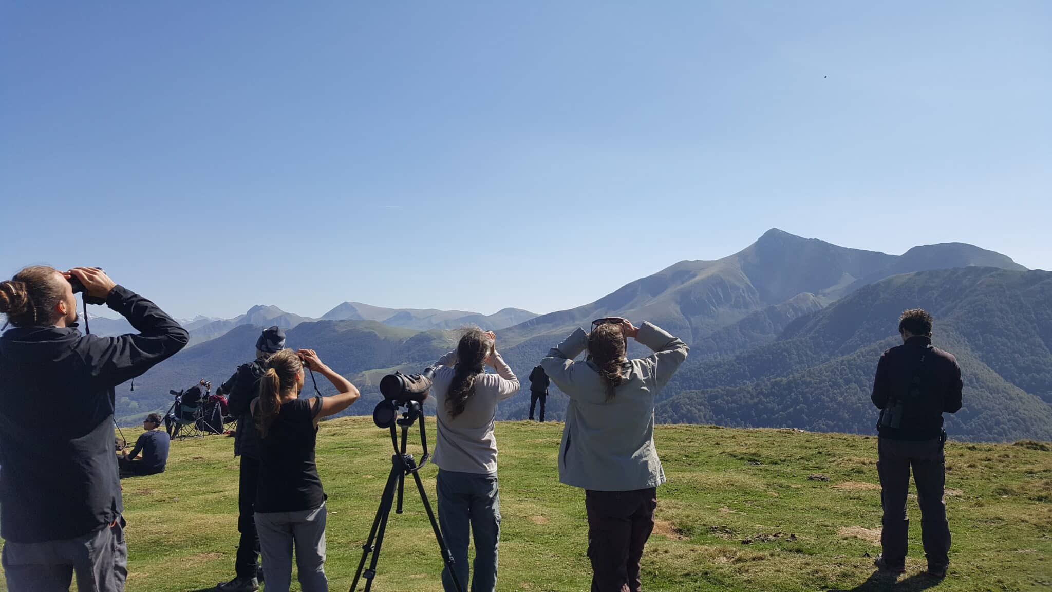 Formations naturalistes