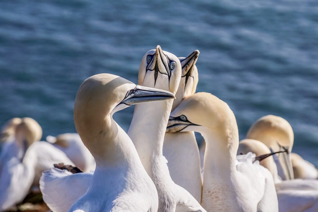 naturalist training bretagne