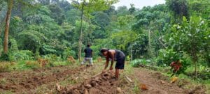 voyage écologique à Sumatra