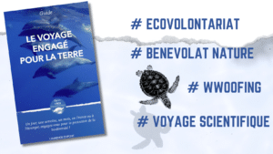 Guide de l'écovolontariat