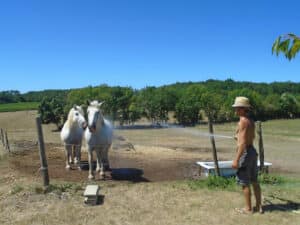 ecolieu en Dordogne