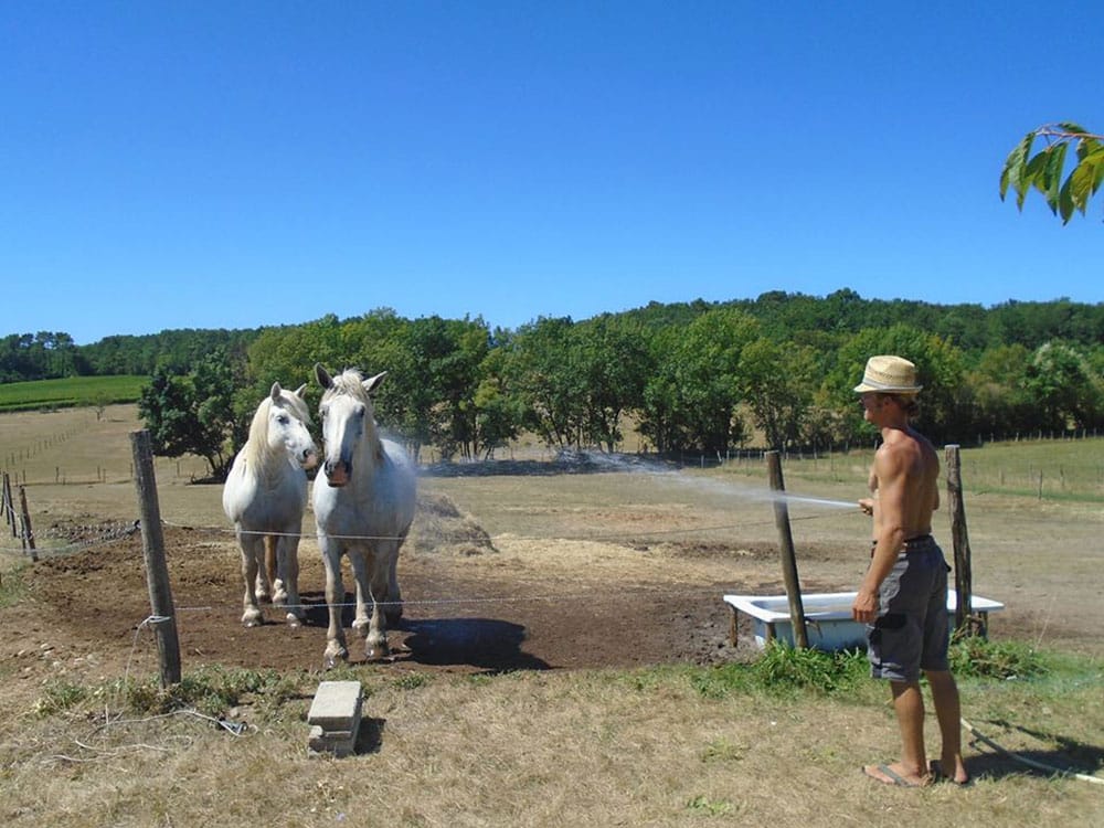 ecolieu en Dordogne