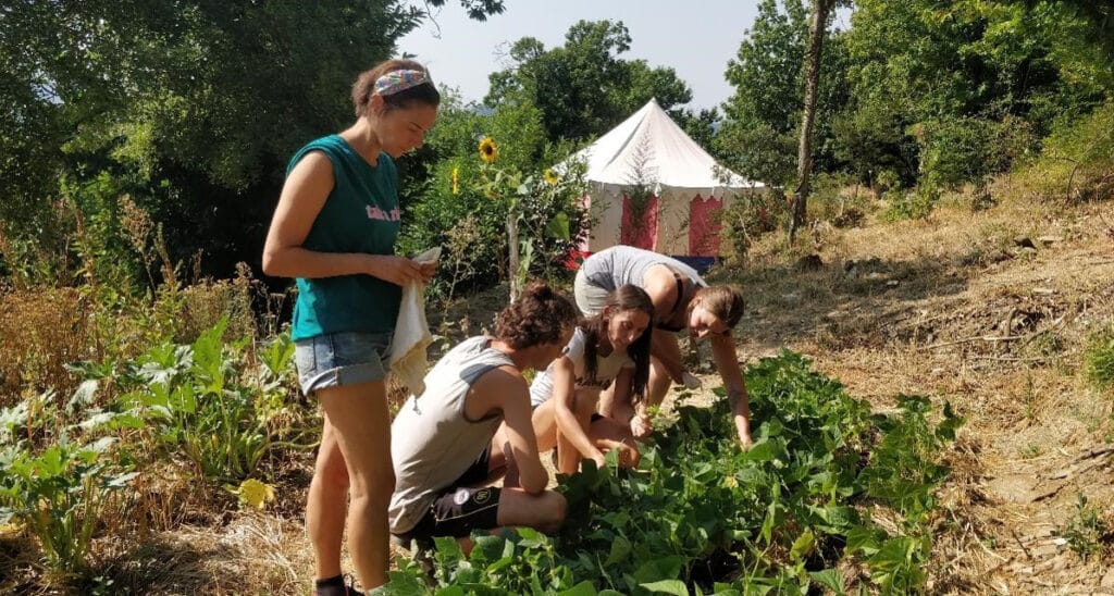 Ecovillage immersion course