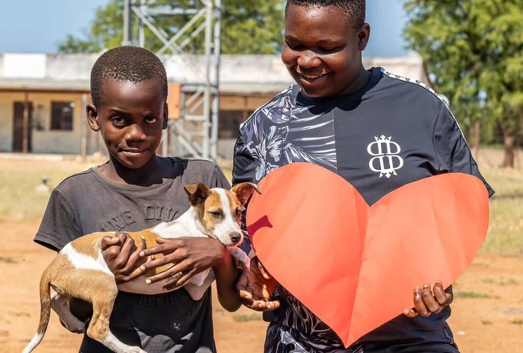 Volontaire animaux domestiques