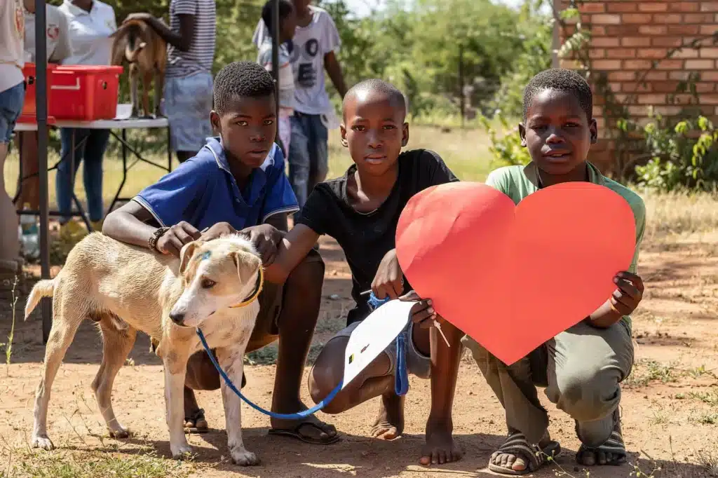 south africa volunteer