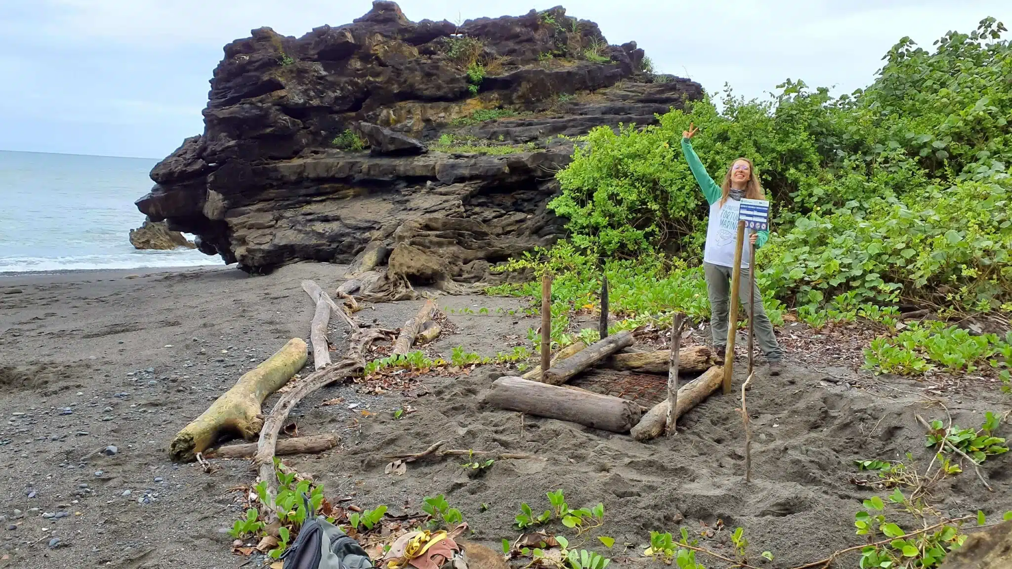 ecovolunteering sea turtles