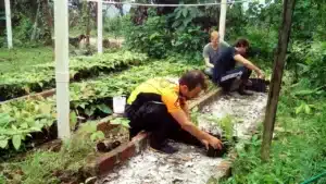 volontariat forêt équateur