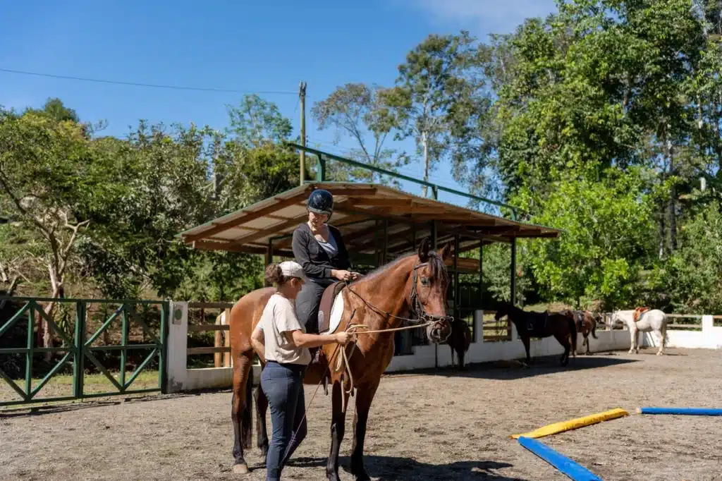 équitation classique finca soley