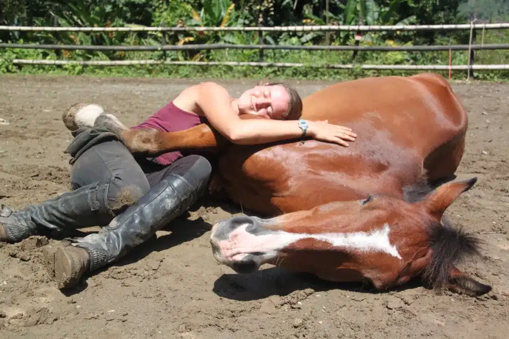 equitation naturelle