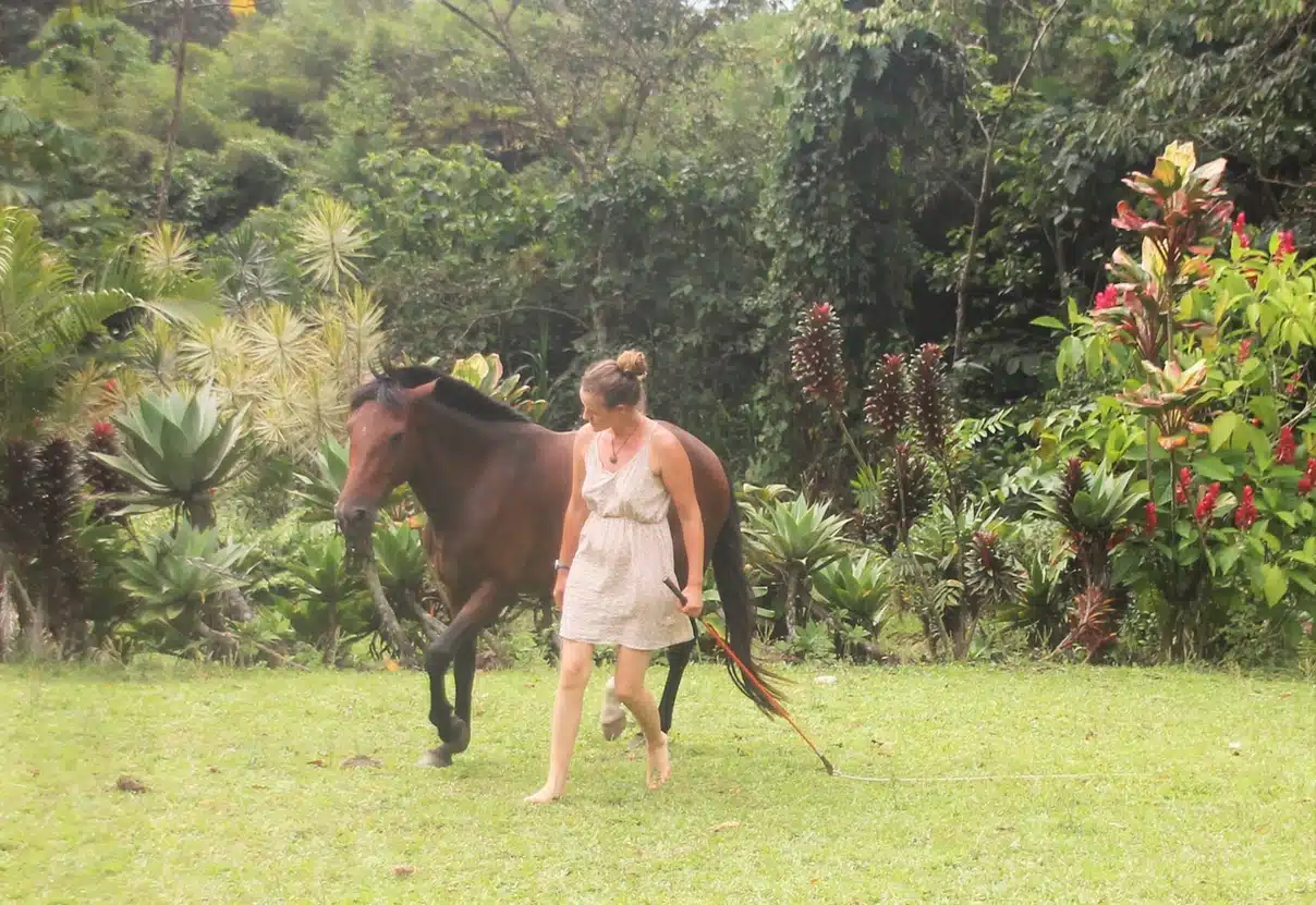 natural horseback riding costa-rica