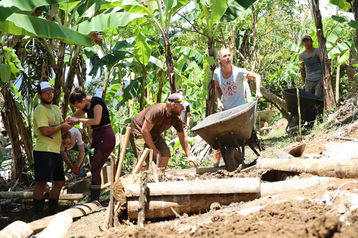 volunteering organic farm costa rica