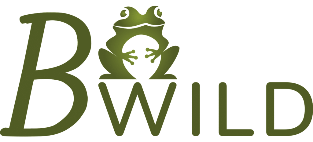 Logo Bwild | Eco-volontaire Logo Bwild