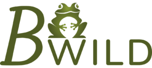 Logo Bwild