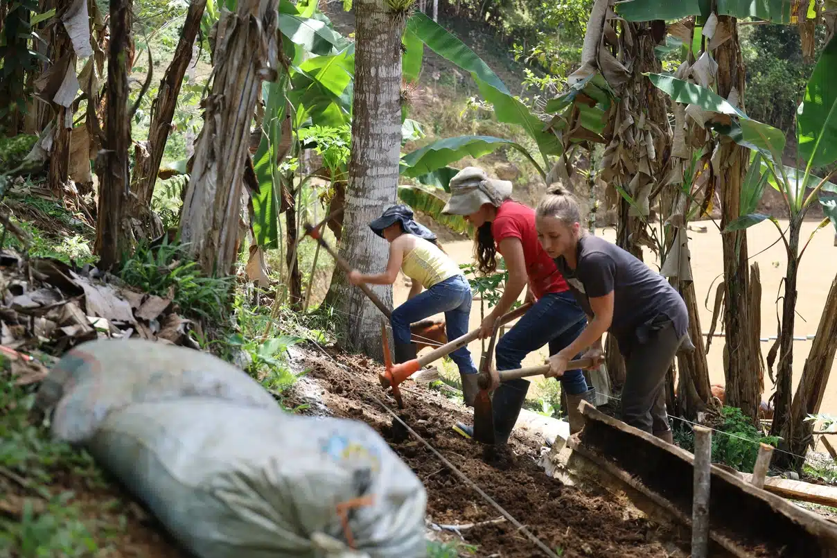 travail ferme costa rica