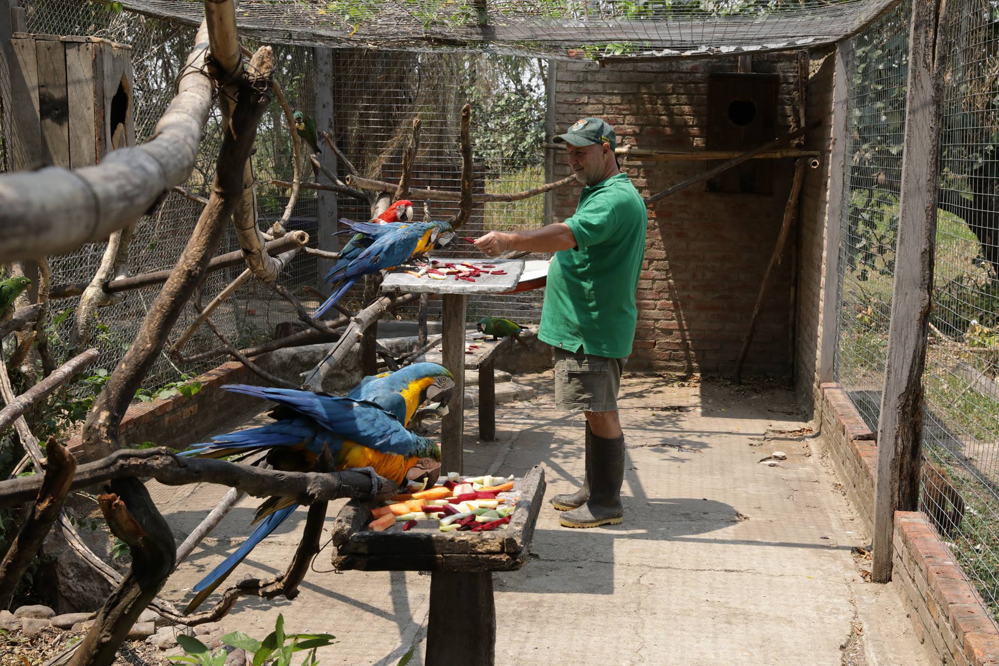 Volunteering Bolivia