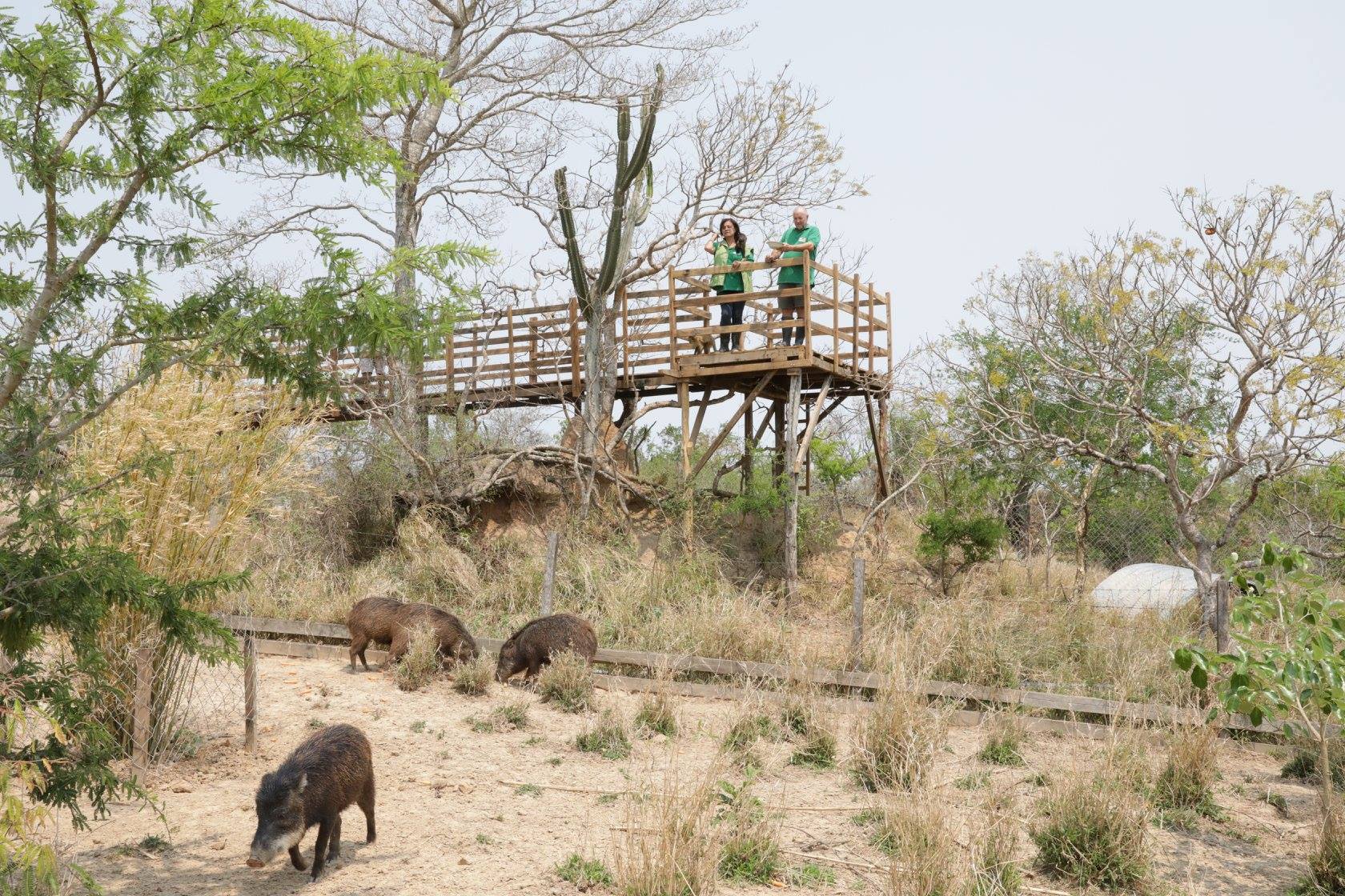 Volunteer at a sanctuary in Bolivia